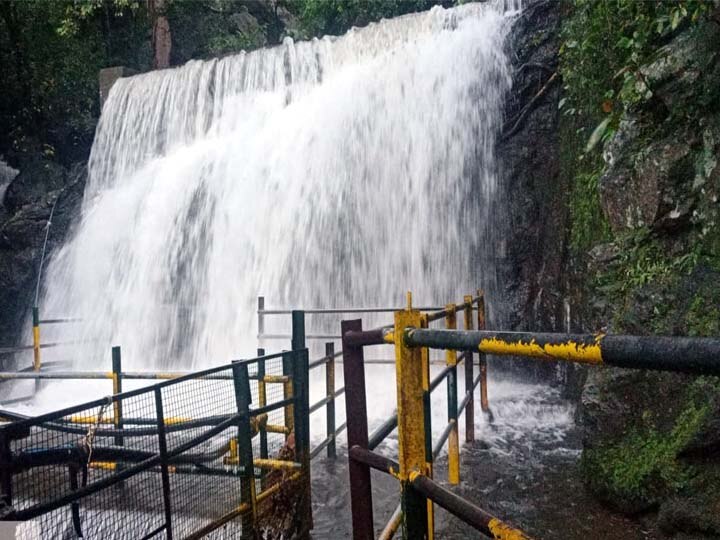 சுருளி, கும்பக்கரை அருவிகளில் வெள்ளப்பெருக்கு - சுற்றுலா பயணிகள் செல்ல தடை