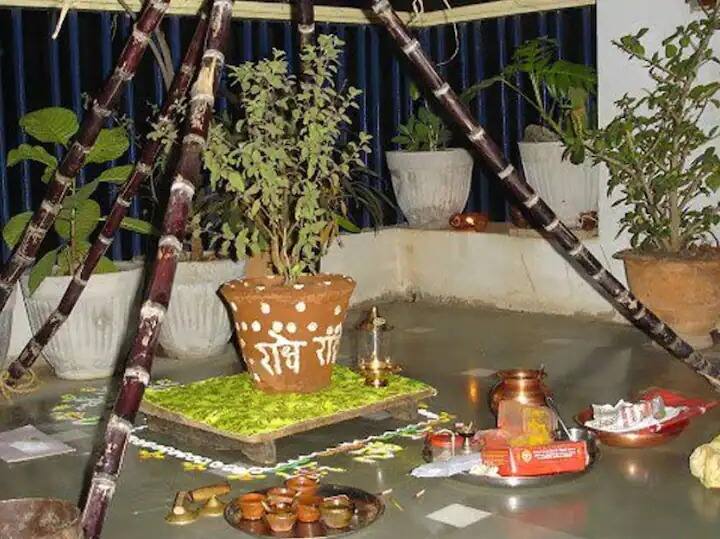 Tulsi Vivah 2022 know pumja muhurat and importance of the day marathi news Tulsi Vivah 2022 : आजपासून तुळशी विवाहाला सुरुवात; जाणून घ्या शुभ मुहूर्त, विधी आणि महत्त्व