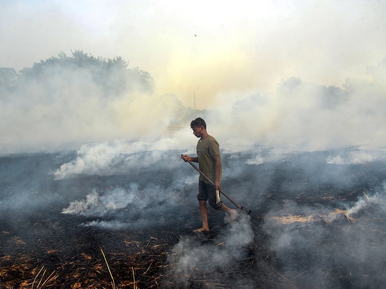 Punjab: Revenue Official Held Hostage By Farmers For Trying To Stop Stubble Burning