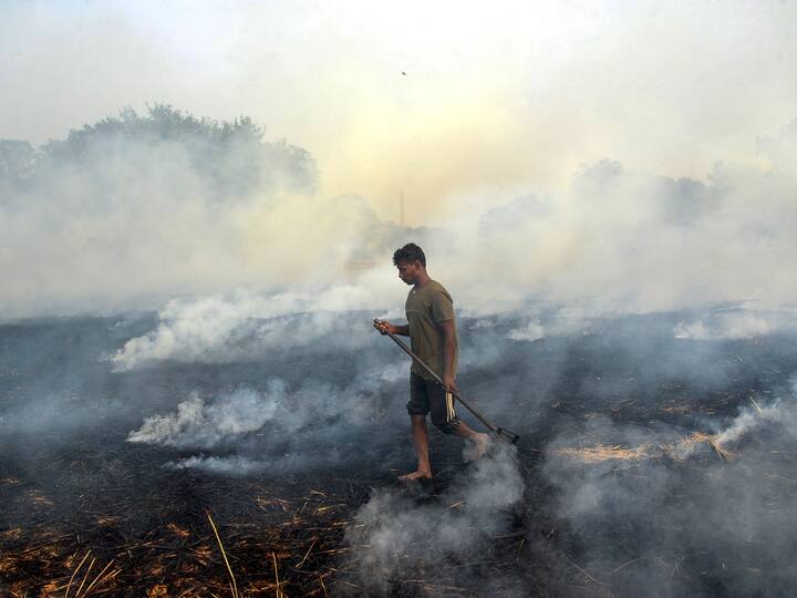 Punjab Revenue Official Held Hostage By Farmers For Trying To Stop Stubble Burning Faridkot Punjab: Revenue Official Held Hostage By Farmers For 24 Hours For Trying To Stop Stubble Burning