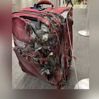 Shocking: ਹਵਾਈ ਯਾਤਰਾ ਪੂਰੀ ਕਰਨ 'ਤੇ ਅਜਿਹੀ ਹਾਲਤ 'ਚ ਮਿਲਿਆ ਸਾਮਾਨ, ਸੂਟਕੇਸ ਦੇਖ ਕੇ ਹੈਰਾਨ ਰਹਿ ਗਏ ਲੋਕ