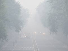 Stubble Burning Continues As Pollution Levels Choke Delhi-NCR — See Pictures