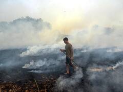Stubble Burning Continues As Pollution Levels Choke Delhi-NCR — See Pictures