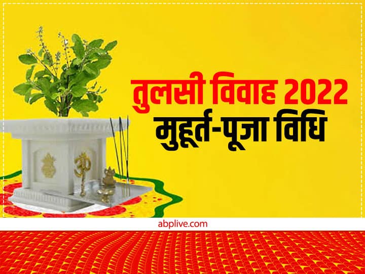 Tulsi Vivah 2022 Muhurat: तुलसी विवाह आज, जानें मुहूर्त, तुलसी-शालीग्राम विवाह विधि