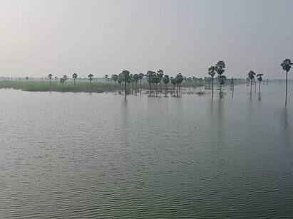 Northeast Monsoon: Karur district recorded 101.30 mm rainfall TNN வடகிழக்கு பருவமழை:  கரூர் மாவட்டத்தில் 101.30 மில்லி மீட்டர் மழை பதிவு