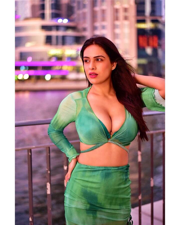 નેહા ગ્રીન કલરમાં ડ્રેસમાં ખૂબ જ શાનદાર તસવીરો શેર કરી છે. આ તસવીરોમાં નેહા ખૂબ જ સુંદર લાગી રહી છે.