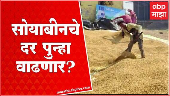 Nandurbar : नंदुरबारमध्ये सोयाबीनला 5200 रुपयांचा दर, शेतकऱ्यांच्या अपेक्षा काय? जाणून घ्या