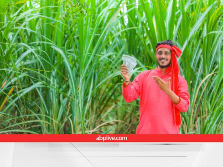 Haryana govt has increased the price of sugarcane by Rs 10 to Rs 372 per quintal Announced by CM Manohar Lal Khattar Sugarcane Price: किसानों की बल्ले-बल्ले! इस सरकार ने बढ़ा दिए गन्ना के दाम, अब नई कीमत से होगी बंपर कमाई
