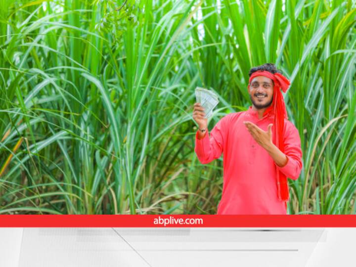 Farmers bat-bat!  This government has increased the price of sugarcane, now the new price will earn bumper