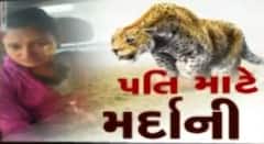 અમરેલી: પતિ બચાવવા પત્ની બની રણચંડી, દિપડા સામે બાથ ભીડી બતાવ્યો જીવ, જુઓ વીડિયો