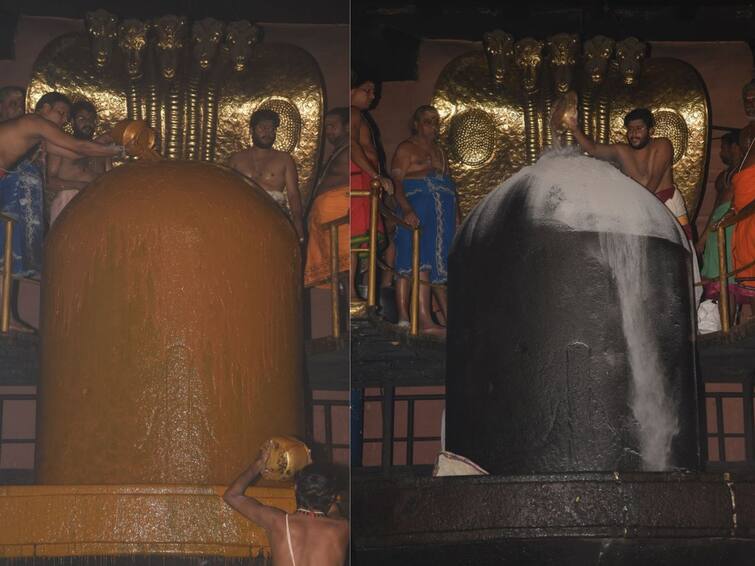 Thanjavur Raja Raja Cholan Sadhaya vizha 48 types of abishegam to shivan TNN மாமன்னன் ராஜராஜ சோழன் சதய விழா - பெருவுடையாருக்கு  48 வகை பேரபிஷேகம்