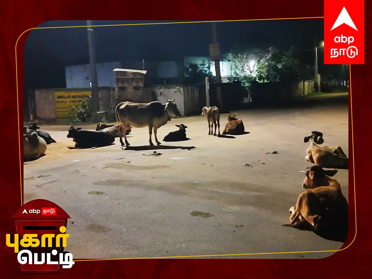 Pugar Petti: தஞ்சாவூர்: ஓரம்போ... ஓரம்போ... சாலையை ஆக்கிரமித்து மனிதர்களை அலறவிடும் மாடுகள்!