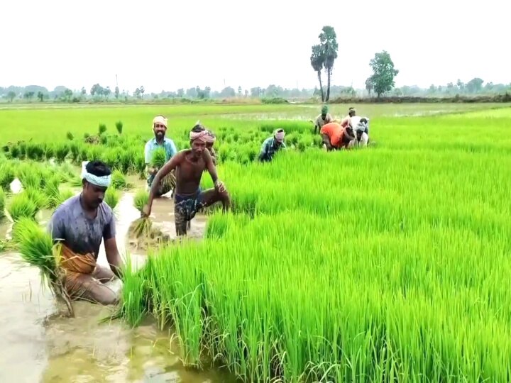 மயிலாடுதுறையில் தீயணைப்பு மற்றும் மீட்பு பணி நிலையத்தில் தமிழக தீயணைப்பு டிஜிபி ஆய்வு