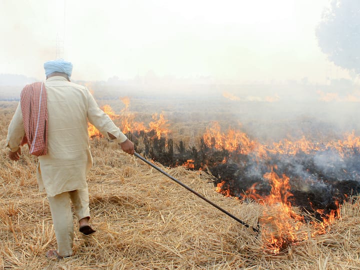 Pictures of stubble burning from Delhi-nearby states will leave you astounded. Delhi and NCR residents are having trouble even while breathing as stubble burning continues.