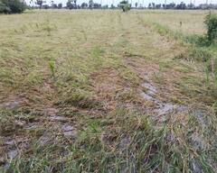 मुश्किल में किसानों की मददगार बनी ये स्कीम, फसल खराब हुई तो सरकार ने दिए 1.25 लाख करोड़ रुपये