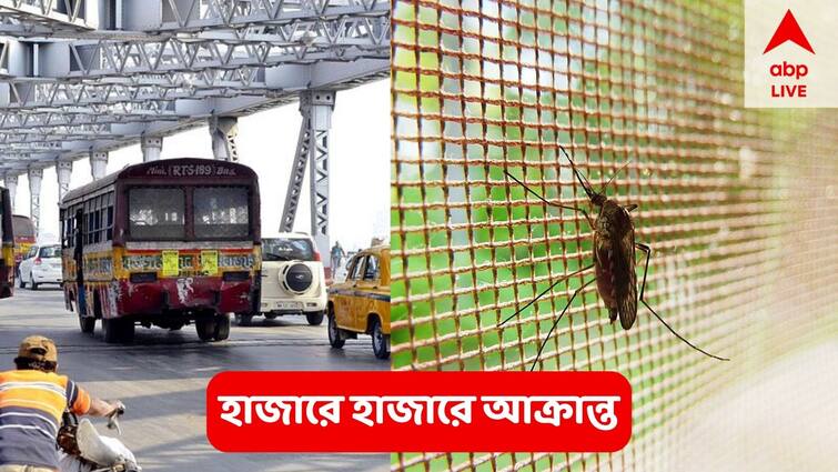 West Bengal About  thousand people every day are affected by dengue, serious condition in Kolkata Dengue : প্রতিদিন  করে ডেঙ্গি আক্রান্ত হচ্ছেন প্রায় হাজার জন !