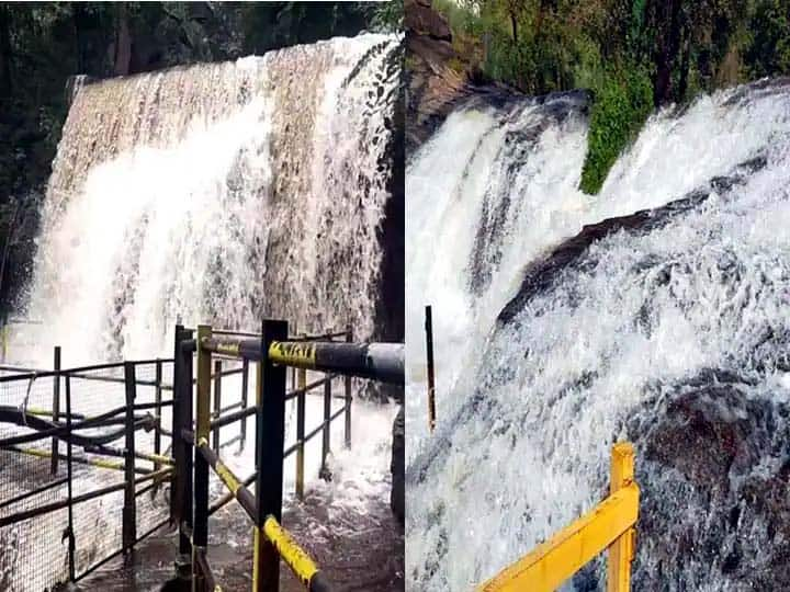 Theni: Incessant rain echoes Suruli Falls, Kumbakkarai Falls, floods prevent tourists from going TNN சுருளி, கும்பக்கரை அருவிகளில் வெள்ளப்பெருக்கு - சுற்றுலா பயணிகள் செல்ல தடை