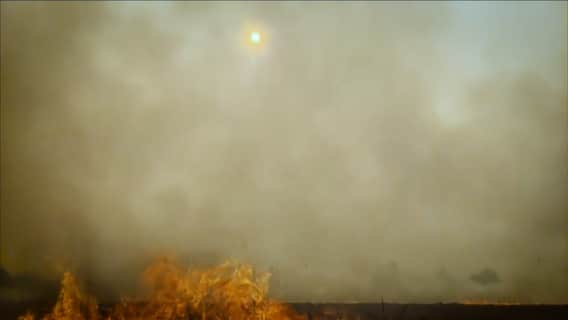 Delhi Pollution: दिल्ली में बढ़ते प्रदूषण की वजह से लिया गया ये बड़ा फैसला