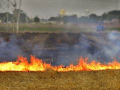 पंजाब में अब भी जलाई जा रही पराली, लुधियाना में सांस के मरीजों में 20 से 30 फीसदी की बढ़ोतरी