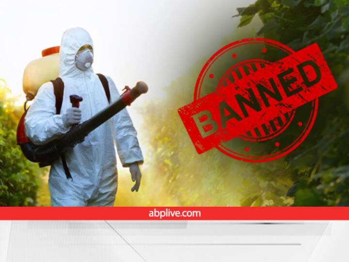 Pesticides: भारत में पूरी तरह से बैन हैं ये कीटनाशक, गलती से भी इस्तेमाल किया तो पड़ेगा बहुत भारी List of Pesticides Banned in India and Restricted for limited use on crops Pesticides: भारत में पूरी तरह से बैन हैं ये कीटनाशक, गलती से भी इस्तेमाल किया तो पड़ेगा बहुत भारी