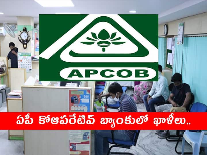 APCOB invites applications for the recruitment of  Professional Directors Posts in Vijayawada DCCB Vijayawada: విజయవాడ ఏపీకోఆపరేటివ్ బ్యాంకులో ఖాళీలు, అర్హతలివే!