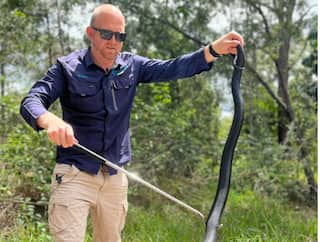 Viral Video: ਰਸੋਈ 'ਚ ਮਾਈਕ੍ਰੋਵੇਵ ਦੇ ਪਿੱਛੇ ਦਿਖਾਈ ਦਿੱਤਾ ਅਜਗਰ ਦਾ ਜੋੜਾ, ਦੇਖੋ ਵਾਇਰਲ ਵੀਡੀਓ