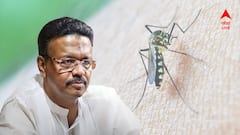 'এমন একটা আবহাওয়া থাকি, যেখানে ডেঙ্গি হওয়ার প্রবণতা সবচেয়ে বেশি', মন্তব্য ফিরহাদের