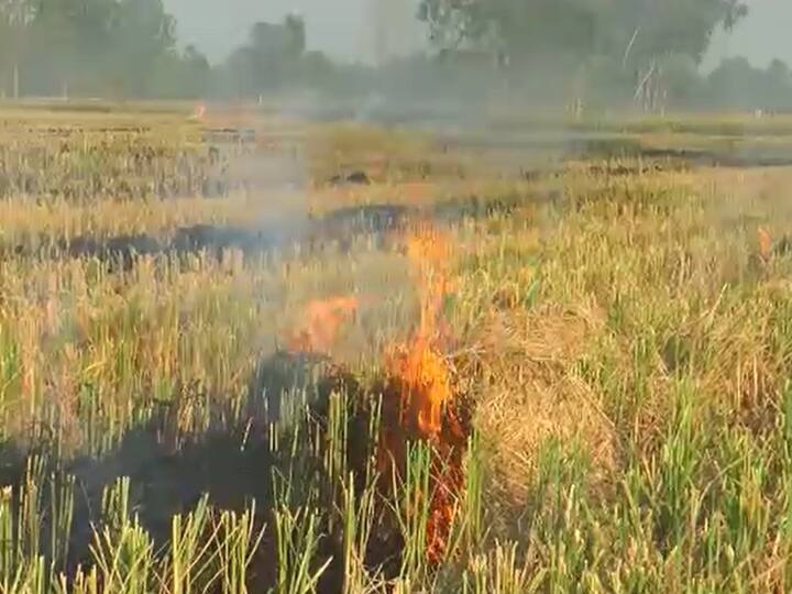 up news moradabad temple and mosque making farmers aware farmers Don't burn parali ann Moradabad News: प्रदूषण को लेकर मंदिर-मस्जिद कमेटी की पहल, पराली नहीं जलाने के लिए किया जा रहा जागरुक