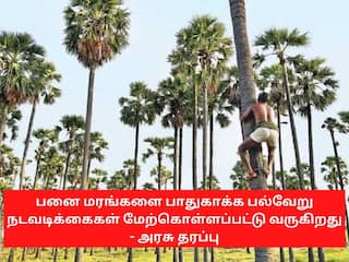 பனை மரங்களை பாதுகாக்க பல்வேறு நடவடிக்கைகள் மேற்கொள்ளப்பட்டு வருகிறது -  தமிழக அரசு