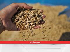 इस राज्य ने 4 दिन के अंदर खरीदा 69,783 टन धान, 25 हजार किसानों को मिला ऑनलाइन भुगतान