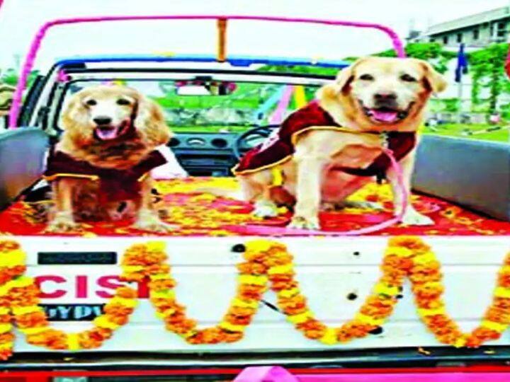 Viral Video Marathi news Trending News 2 dogs of cisf retired after 10 years of service see video Viral Video : CISF चे  दोन श्वान 10 वर्षांनंतर निवृत्त, जवानांकडून सन्मान; दिला शानदार निरोप! पाहा व्हिडीओ