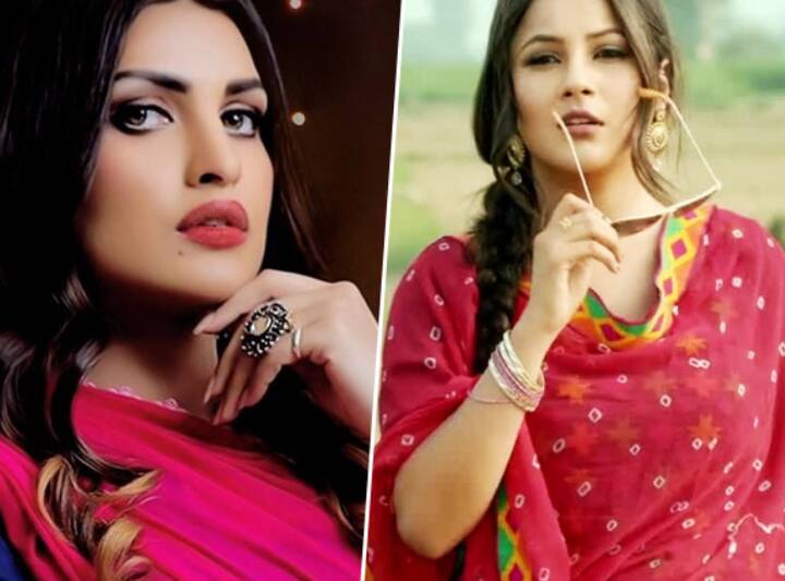 आज हम आपको बिग बॉस में हिस्सा ले चुके कुछ ऐसे ही कंटेस्टेंट्स के बारे में बताने जा रहे हैं जो एक दूसरे को फूटी आंख नहीं सुहाते थे.