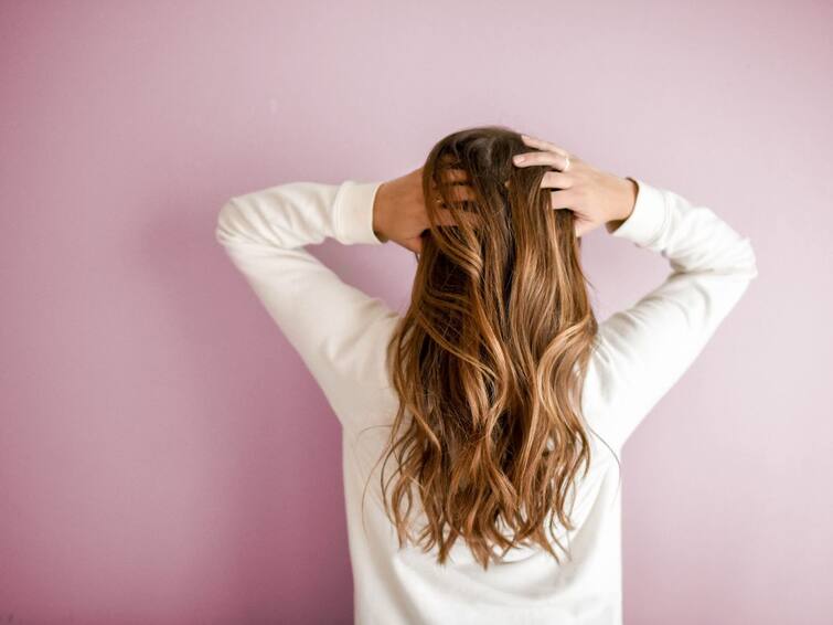how-to-protect-your-hair-from-pollution Winter Hair Care: শীতের মরসুমে বাড়ে দূষণ, কীভাবে চুলের স্বাস্থ্য ভাল রাখবেন, রইল সহজ কিছু টিপস