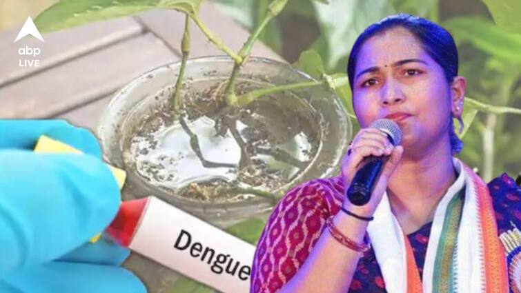 West Bengal TMC MP Aparupa Poddar Husband and Daughter dengue affected creates concern Dengue : তৃণমূল সাংসদের বাড়িতে ডেঙ্গির হানা, আক্রান্ত হয়ে নার্সিংহোমে অপরূপা পোদ্দারের স্বামী-কন্যা