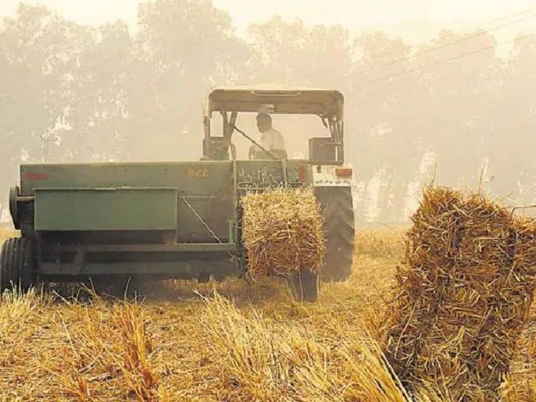 Haryana Stubble Management: మద్దతు ధర ఇచ్చి మరీ గడ్డి కొంటారట, హరియాణా ప్రభుత్వం నిర్ణయం! Haryana: Committee formed, preparations for stubble purchase on MSP in Haryana started Haryana Stubble Management: మద్దతు ధర ఇచ్చి మరీ గడ్డి కొంటారట, హరియాణా ప్రభుత్వం నిర్ణయం!