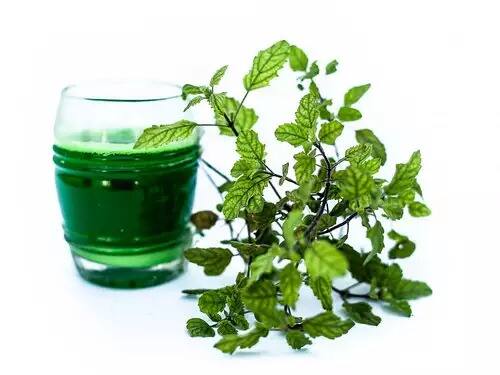 ਡੇਂਗੂ ਹੋਣ 'ਤੇ ਤੁਸੀਂ ਤੁਲਸੀ ਦੀ ਚਾਹ ਵੀ ਪੀ ਸਕਦੇ ਹੋ। ਜੇਕਰ ਤੁਸੀਂ ਗ੍ਰੀਨ ਟੀ ਪੀਂਦੇ ਹੋ ਤਾਂ ਇਸ 'ਚ ਤੁਲਸੀ ਦੀਆਂ ਪੱਤੀਆਂ ਮਿਲਾ ਕੇ ਵੀ ਪੀ ਸਕਦੇ ਹੋ। ਪਰ ਗਲਤੀ ਨਾਲ ਦੁੱਧ ਨਾ ਪਾਓ।