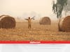 Stubble Burning: क्या पराली जलाने के मामले में आगे है पंजाब, हरियाणा? ये फैक्ट कहते हैं कुछ और कहानी
