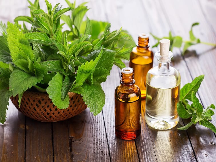Know Amazing Health Benefits of Mint Leaves Mint Leaves : துவையல்.. சட்னி..ஏதாவதொரு வகையில புதினா கண்டிப்பா சாப்டிருங்க.. ஏன் தெரியுமா?