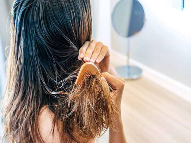 Fix Hair Damage With the Ingredients You Already Have at Home Hair Damage : சேதமடைந்த தலைமுடியை சரி செய்வது எவ்வாறு? வீட்டு வைத்திய குறிப்புகள்!