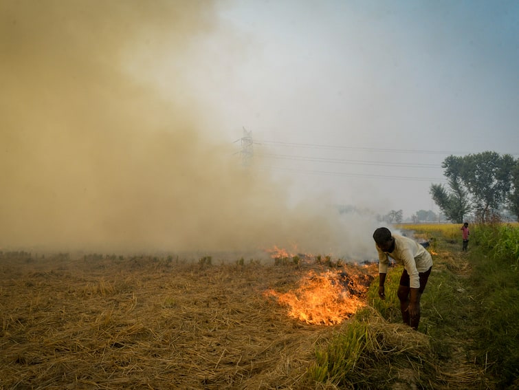 NCR Pollution: UP Govt Mulls Stringent Legal Action Amid Rising Stubble Burning Cases NCR Pollution: UP Govt Mulls Stringent Legal Action Amid Rising Stubble Burning Cases