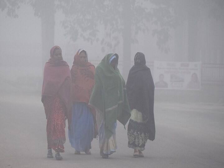 Maharashtra Winter Update  temperature has dropped in various districts Parbhani recorded the lowest temperature of the season Maharashtra Winter Update : राज्यात थंडीचा जोर वाढला, विविध जिल्ह्यात तापमानात घट तर परभणीत मोसमातील निचांकी तापमानाची नोंद