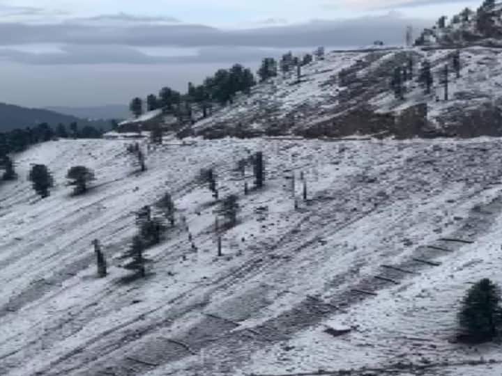Jammu Kashmir Snowfall: जम्मू कश्मीर के राजौरी में मुगल रोड और पीर पंजाल क्षेत्र में बर्फबारी हुई. बर्फबारी के चलते मुगल रोड बंद कर दिया गया जिसके कारण यातायात ठप हो गया है.