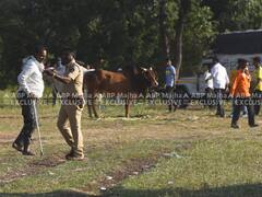 PHOTO : औरंगाबादेत बैलगाडा शर्यतीवेळी पोलिसांचा सौम्य लाठीचार्ज