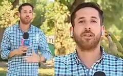 Funny Video: ਲਾਈਵ ਰਿਪੋਰਟਿੰਗ ਦੌਰਾਨ ਪੱਤਰਕਾਰ ਦੇ ਈਅਰਫੋਨ ਲੈ ਕੇ ਉੱਡ ਗਿਆ ਤੋਤਾ, ਦੇਖੋ ਮਜ਼ਾਕੀਆ ਵੀਡੀਓ