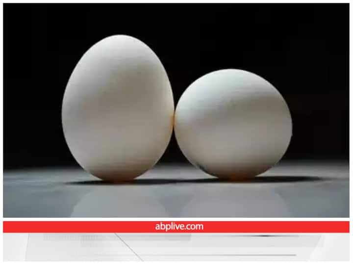 How to check the quality of egg plastic egg and synthetic egg test Egg Testing: अंडे के नाम पर कहीं आप भी प्लास्टिक और कैमिकल तो नहीं खा रहे! ऐसे करें असली अंडे की पहचान