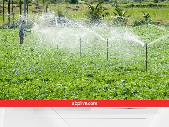 Raingun uses less water and costs in irrigation Rain Gun Tech: रेन गन सिंचाई क्या होती है, जिसमें मेहनत और पानी कम लगता है और फसल का पानी भी अच्छे से मिलता है