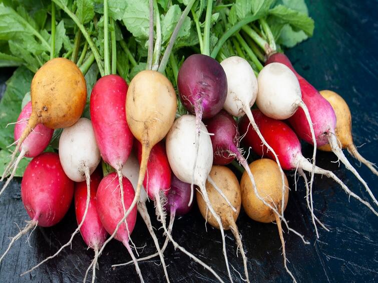 Be It Raw or Cooked, The Many Health Benefits Of Radish Health Benefits Of Radish : முள்ளங்கியை உண்பதால் ஏற்படும் ஆரோக்கிய நன்மைகள் என்ன?