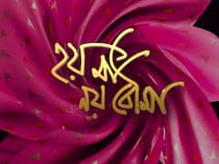 Hoy Ma Noy Bouma : রাপিড ফায়ারের চ্যালেঞ্জ নিলেন শ্রীপর্ণা , আড্ডা জমালেন বিভূতি আর অনামিকা