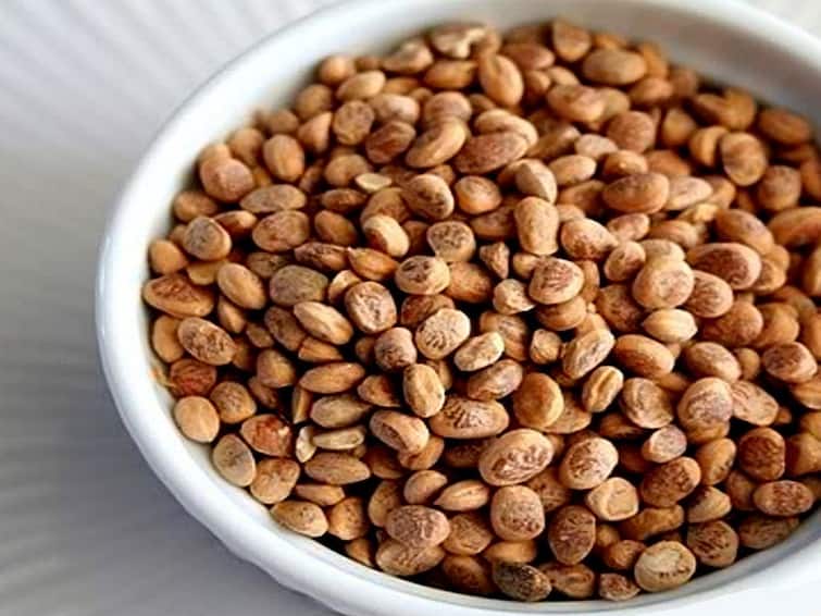 Add Chironji To Your Skincare Routine For a Glowing, Spotless Skin Chironji Seeds : சாரைப் பருப்பில் இவ்வளவு நன்மைகளா? இதை முதல்ல படிங்க..