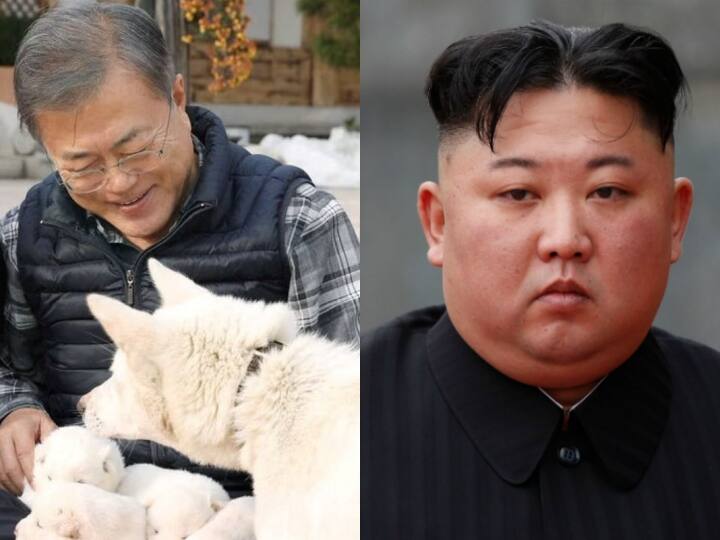 South Korea Former President Of South Korea Preparing To Return The Dogs Gifted To Kim Jong Un